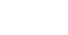 Kleinsorge GmbH